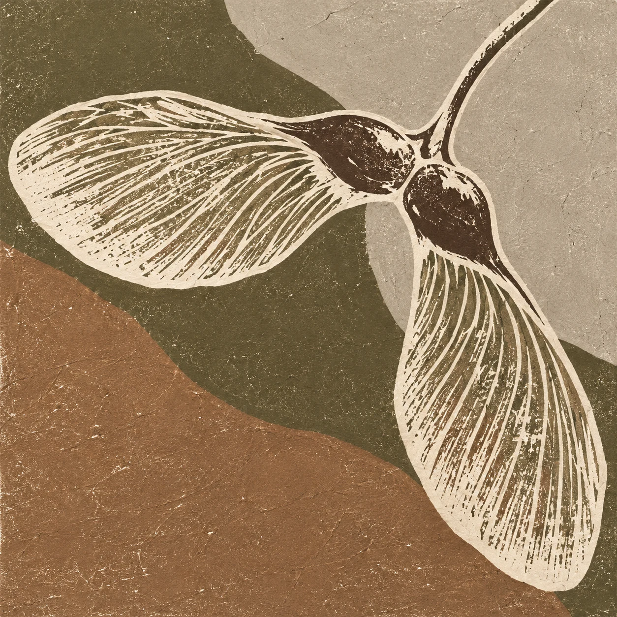 A maple seed pair in sand, taupe, olive, brown; square artwork.