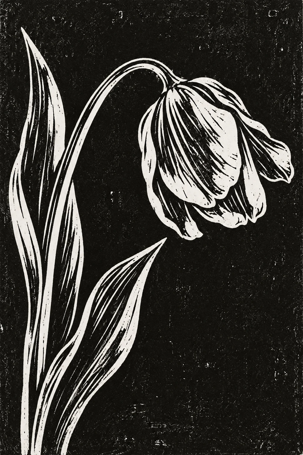 A single tulip bending in black, charcoal, stone; portrait artwork.