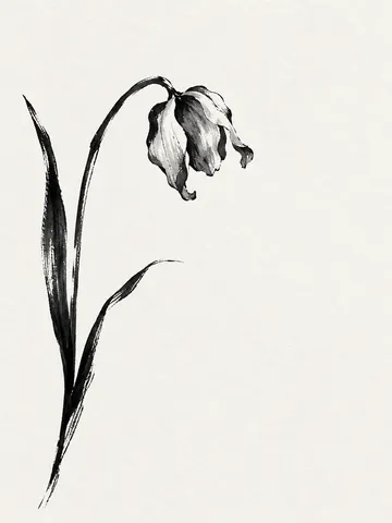 A single tulip past its best in white, gray; portrait artwork.