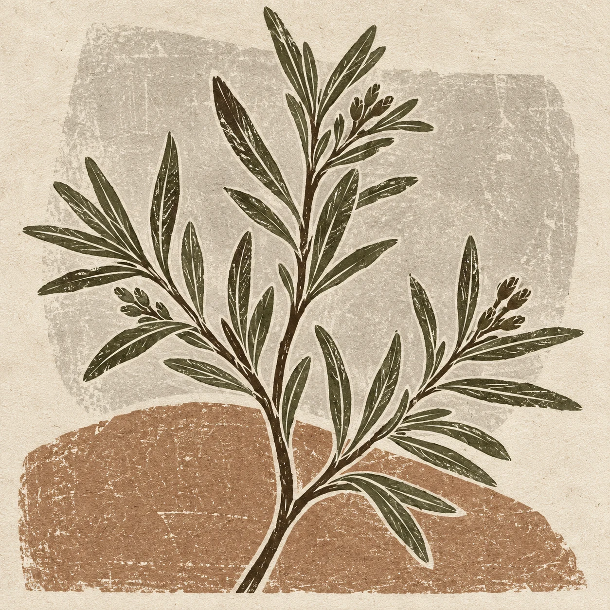 A sprig of rosemary in cream, stone, taupe, sage; square artwork.