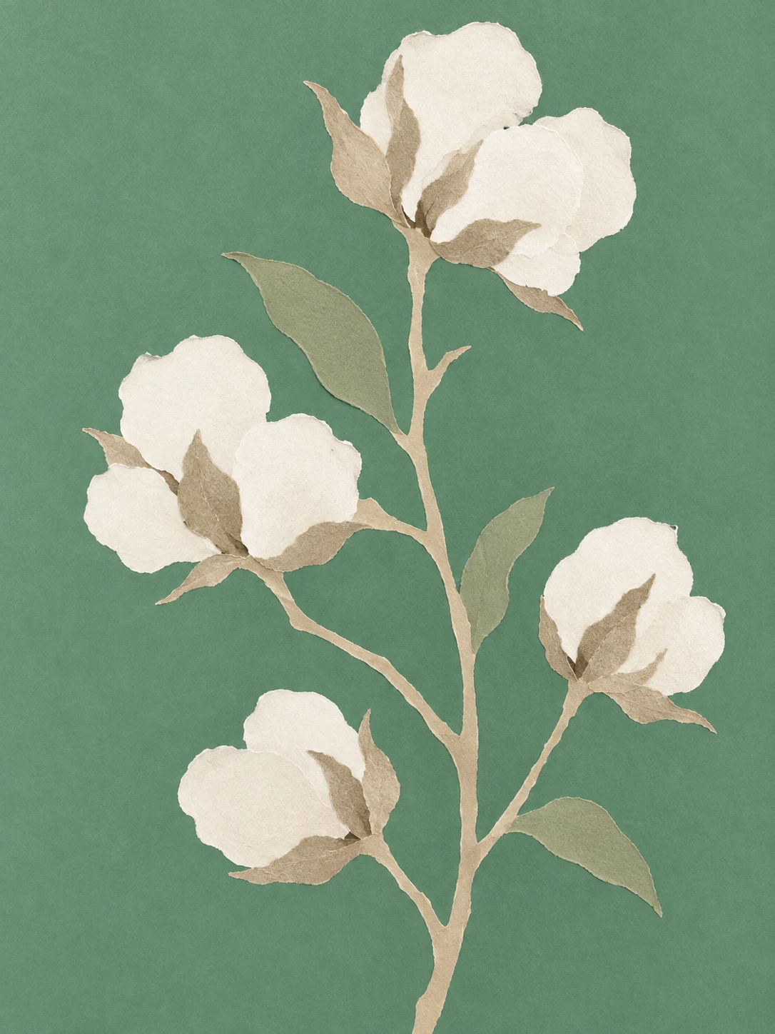 A stem of cotton with open bolls in sage, olive, cream, sand; portrait artwork.