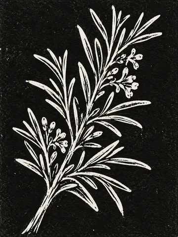 A sprig of rosemary in black, charcoal, stone; portrait artwork.