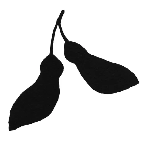 A maple seed pair in white, black; square artwork.