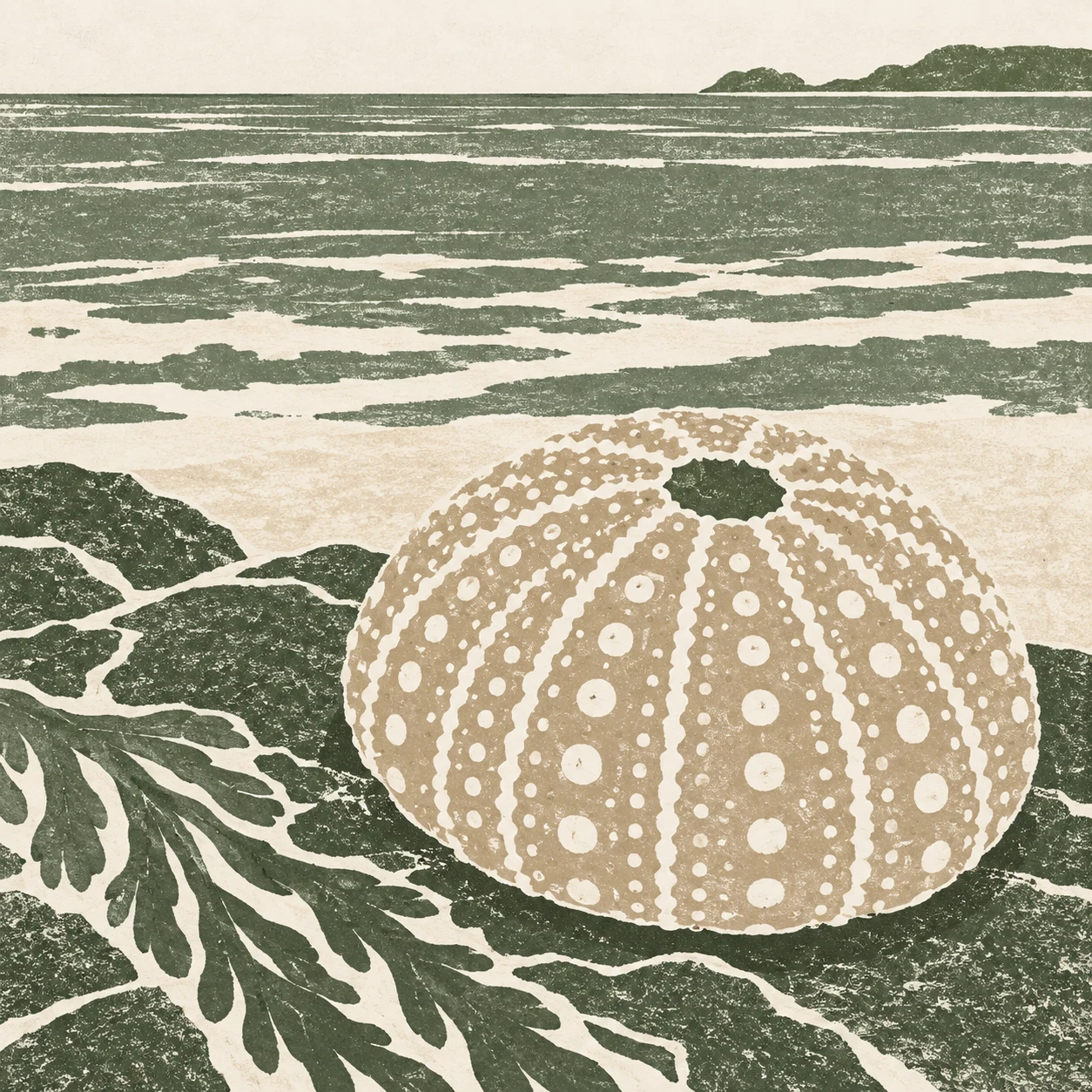 A sea urchin shell in taupe, sand, white, green; square artwork.