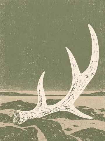 An antler in taupe, stone, sage, cream; portrait artwork.