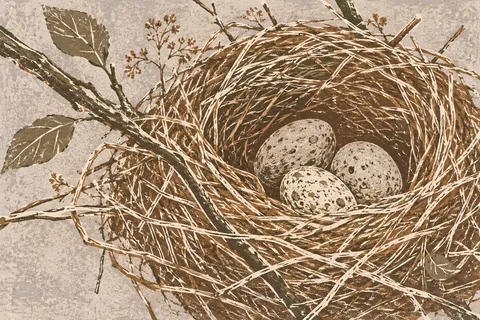 A bird nest with three eggs in stone, taupe, sand, olive; landscape artwork.