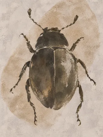 A beetle seen from above in stone, sand, brown, cream; portrait artwork.
