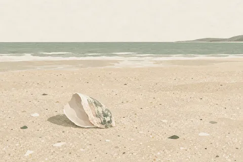 A single shell on sand in cream, white, stone; landscape artwork.