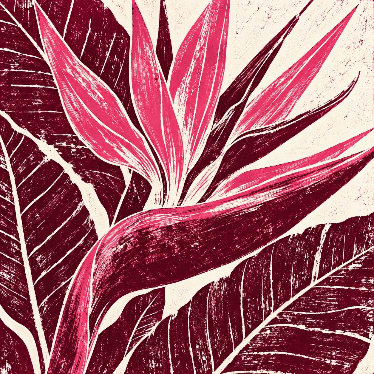 A bird of paradise flower in burgundy, pink, white, red; square artwork.