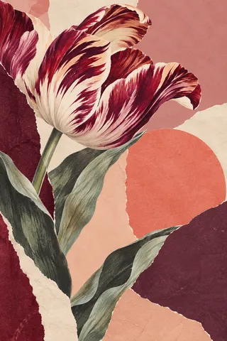 An open book of abstract cut shapes in blush, burgundy, cream, taupe; portrait artwork.