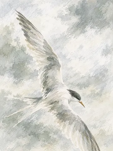 A tern turning in flight in cream, stone, white; portrait artwork.
