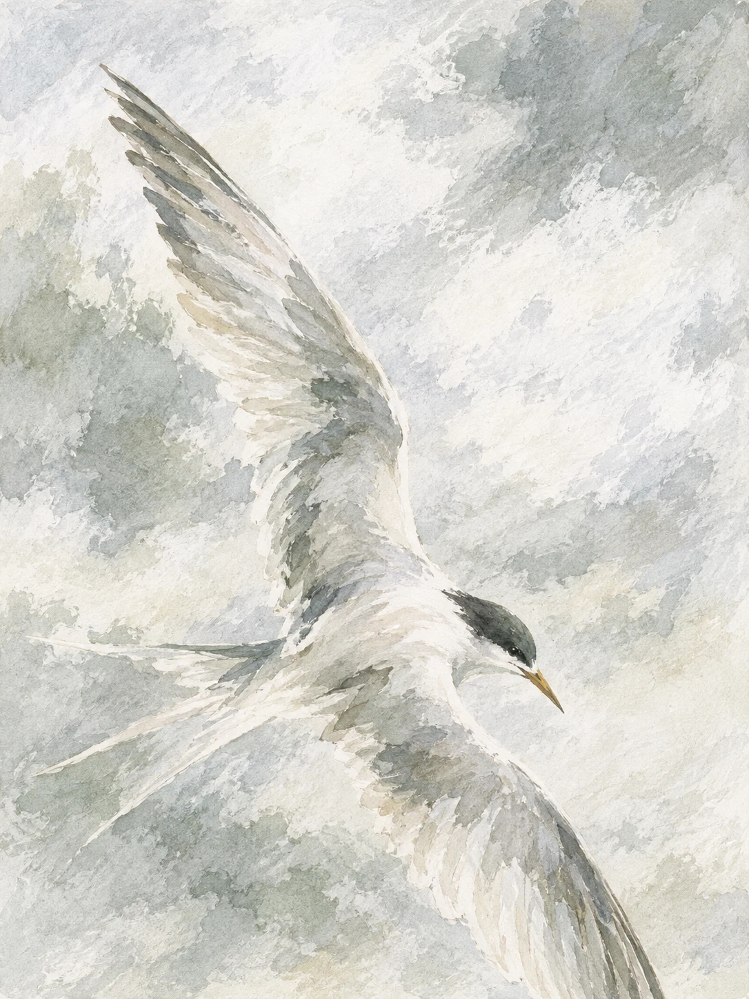 A tern turning in flight in cream, stone, white; portrait artwork.