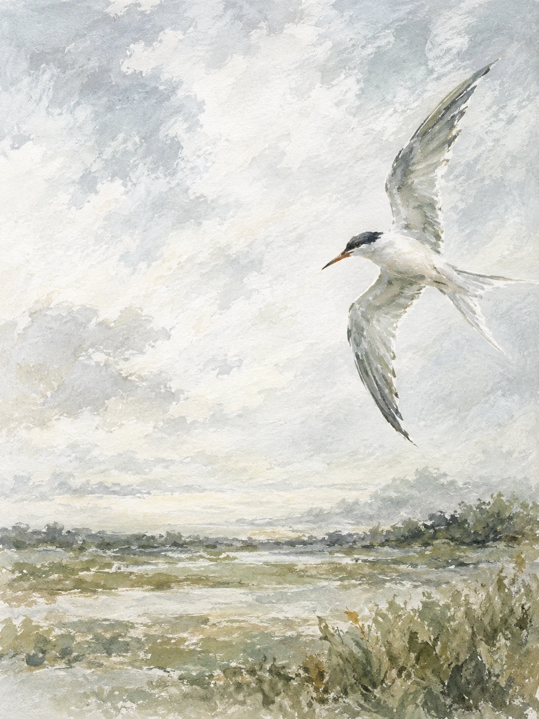 A tern turning in flight in cream, white, sand, stone; portrait artwork.
