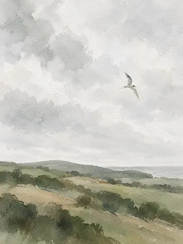 A tern turning in flight in cream, sage, white, olive; portrait artwork.