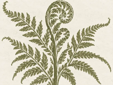 A fern unrolling in white, sage, sand, taupe; landscape artwork.