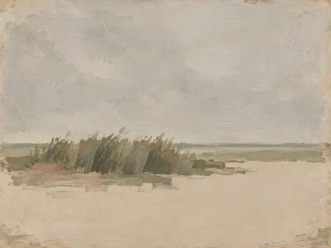 A bank of reeds and nothing else in stone, taupe, sand; landscape artwork.