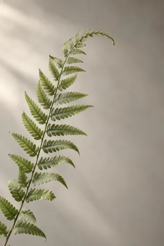 A slender olive fern frond curves through soft light against a warm-gray background.