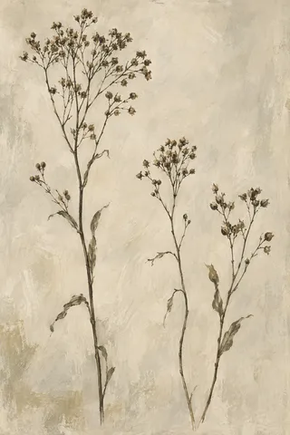 Three dried branching stems rise at unequal heights across a warm chalk-colored painted ground.